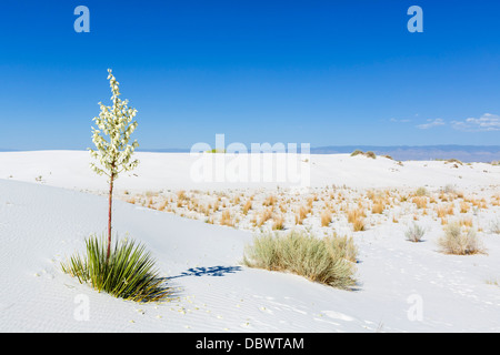 White Sands National Monument in der Nähe von Alamogordo, New Mexico, USA Stockfoto