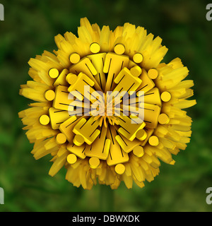 Gemeinschaftskonzept Zusammenarbeit und Freundschaft mit einer Gruppe von generischen Menschen Symbole in eine gelbe Blume in sozialer Kooperation zur Unterstützung wichtiger Ideen erfolgreich zusammenarbeiten. Stockfoto