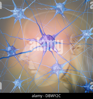 Menschlichen Neuron Zellen in das Gehirn als eine medizinische Symbol für Psychologie und die Wissenschaft der Neurologie Forschung bei der Suche nach Behandlung von psychischen Erkrankungen wie Alzheimer-Demenz und Autismus. Stockfoto