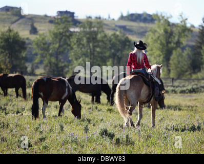 hübsches Cowgirl auf dem Pferderücken in Montana ranch Stockfoto