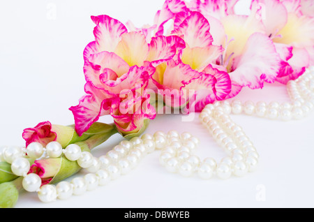Rosa Gladiole ist auf weißem Hintergrund Stockfoto