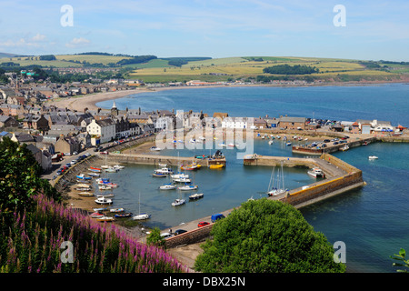 Blick über Hafen von Stonehaven, Aberdeenshire, Schottland Stockfoto