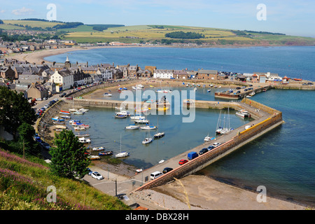 Blick über Hafen von Stonehaven, Aberdeenshire, Schottland Stockfoto