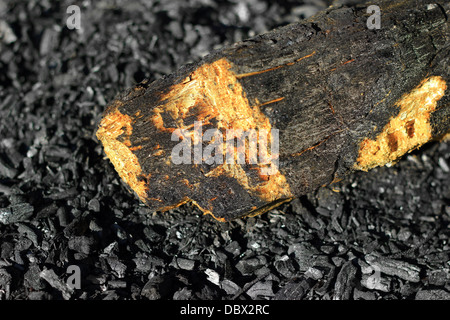 Stück Holz in Kohle Stockfoto