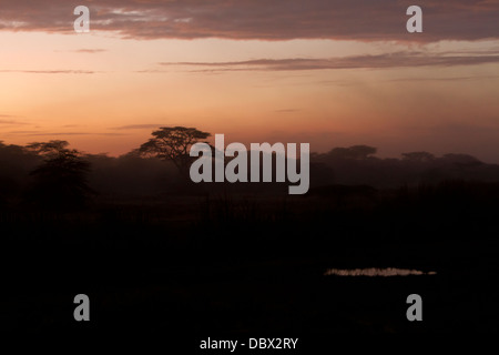 Sonnenaufgang über Masai Land Kenia. Stockfoto