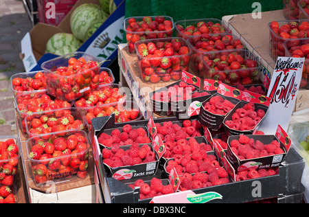 Punnets von frischen Erdbeeren und Himbeeren zum Verkauf auf dem Marktstand im Sommer York North Yorkshire England Großbritannien GB Großbritannien Stockfoto