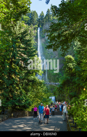 Anzeigebereich in Multnomah Falls, Columbia River Gorge, Multnomah County, Oregon, USA Stockfoto