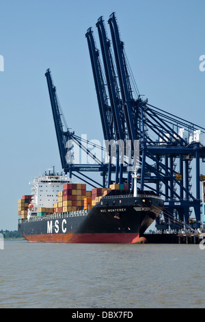 MSC Monterey entladen am Containerhafen Felixstowe, Suffolk, UK Stockfoto