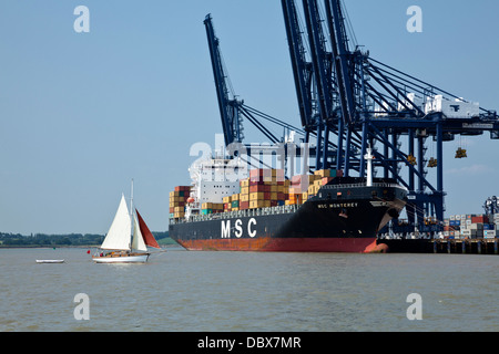 Ein Gaff Cutter segelt vor MSC Monterey entladen im Containerhafen Felixstowe, Suffolk, UK. Stockfoto