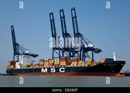 MSC Monterey entladen am Containerhafen Felixstowe, Suffolk, UK Stockfoto