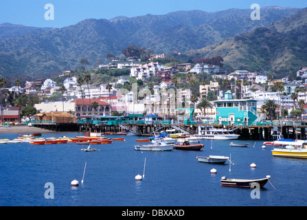 AVALON CATALINA INSEL CA STADT UND BOOTE IM HAFEN Stockfoto