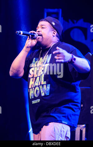 Hertfordshire, UK, 08.04.2013: Standon Calling Festival. De La Soul bringen das Festival zum Abschluss auf der Hauptbühne. De La Soul ist eine US-amerikanische Hip-Hop-Trio gegründet 1987 auf Long Island, New York. Personen im Bild: David Jude Jolicoeur, Trugoy, Trugoy die Taube. Bild von Julie Edwards Stockfoto