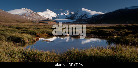 Landschaft mit weiss verschneiten Gipfeln in Mountain Lake, umgeben von grünen Wiese. kotur Gletschertal. kokshaal - zu zentralen Tien-shan. Asien Stockfoto