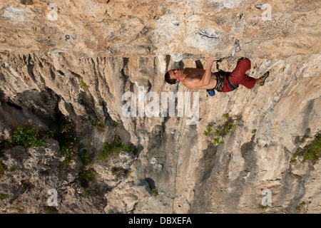 Erhöhte Ansicht starke muskuläre Sportkletterer klettert, senkrechten und überhängenden Felswand. tufas und Pflanzen sind im Hintergrund gesehen. Stockfoto