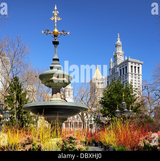 City Hall Park in New York City. Stockfoto