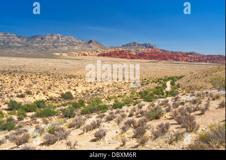 Red Rock Canyon National Conservation Area, Nevada Stockfoto