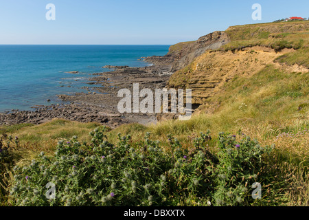 Wasser-Bucht in der Nähe von Widemouth Bay in der Nähe von Bude Cornwall England UK an einem schönen Sommertag Stockfoto