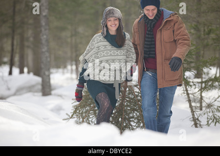 Glückliches Paar frischen Weihnachtsbaum im verschneiten Wälder ziehen Stockfoto