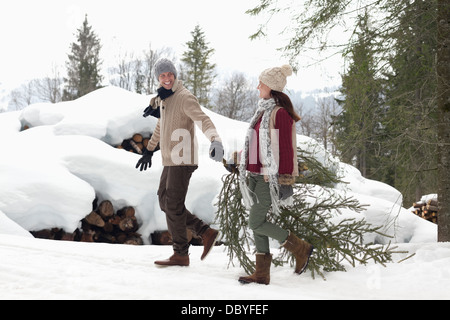 Paar ziehen frischen Weihnachtsbaum in der Nähe von Schnee bedeckt Holzstapel Stockfoto