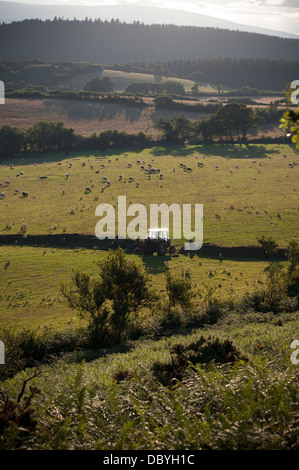 Bauer auf Traktor, Vereinigtes Königreich, Baum, Wiese, Trail, Beweidung, Reiseziel, Tor, Park, National, Landwirtschaft, moorlan Stockfoto