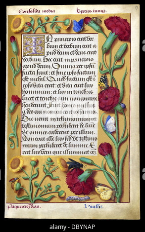Illuminierte Handschrift der Grandes Heures der Anne von Bretagne Königin von Frankreich (1477-1514). Stockfoto