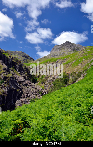 Dungoen Ghyll, eine Stream-Schnitt-Schlucht über Great Langdale im Lake District National Park mit Harrison scheut oben. Stockfoto