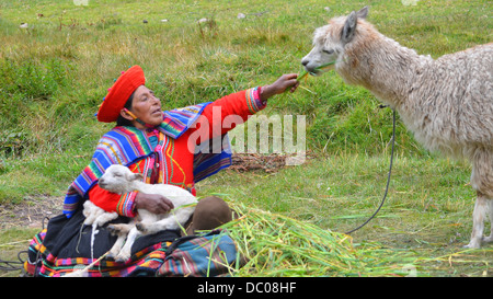 Ein Quechua einheimisches Mädchen aus den ländlichen Anden in traditioneller Kleidung, Cusco, Peru Stockfoto