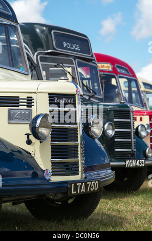 Vintage OB Bedford Busse auf einem Dampf-Messe in England Stockfoto