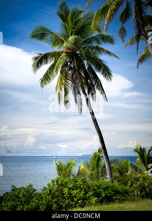 Mana Island, Fidschi. Atemberaubende Aussicht auf das Meer von diesem tropischen Paradies im Südpazifik. Stockfoto