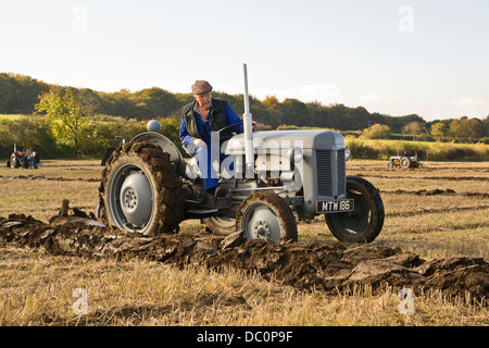 Jahrgang 1947 Massey Ferguson Traktor beim Pflügen Spiel-Demo-Wettbewerb Stockfoto