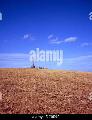 Die Flodden Denkmal zur Erinnerung an die Schlacht von Flodden Field 1513 nahe dem Dorf von Branxton Northumberland England Stockfoto