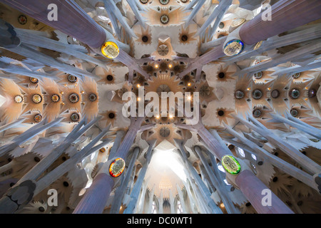 Blick hinauf in die Decke gewölbten dekorative Querschiff der Kathedrale La Sagrada Familia. Stockfoto