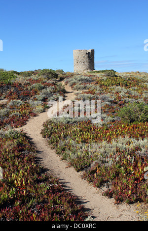 Punta di Spanu ist ein Naturschutzgebiet Küste in der Gemeinde von Lumio in der Nähe von Calvi auf Korsika. Stockfoto