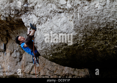 Ein Kletterer, Klettern an der Great Orme Klippen in der Nähe von Llandudno, Snowdonia, North Wales, UK Stockfoto