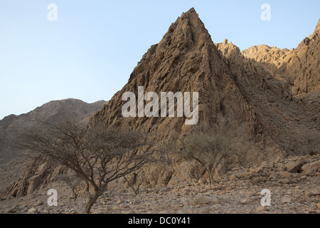 Imposante noch atemberaubende Berge der Halbinsel Musandam, Oman in der Abenddämmerung. Stockfoto