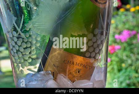 Flasche Champagner auf Eis kühlen in Luxus Kristall Glas Wein Kühler im Freien Garten Lage Stockfoto