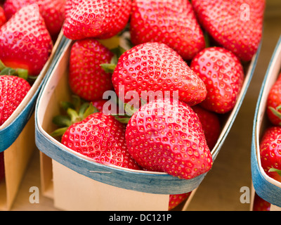Ein Korb mit frischen Erdbeeren. Ein Körbchen voll Erdbeeren scheint hell auf einen Kreditor Tisch auf dem Markt. Stockfoto