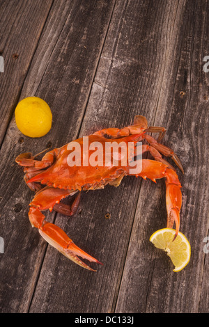 Gekochte Krabben auf rustikalen Hintergrund. Stockfoto