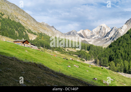 Europa, Österreich, Tirol, Tal Pfossental. Bergbauernhof Rableidalm. Stockfoto