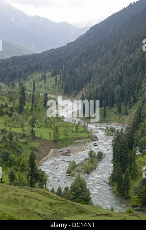 Lidder Fluss auf dem Weg zur Honegg, Jammu & Kaschmir, Indien. Stockfoto