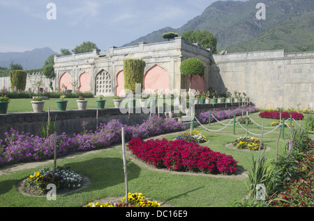 Nishat Bagh oder Gartenblick, Srinagar, Jammu & Kaschmir, Indien Stockfoto