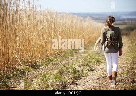 Junge Frau hinunter Feldweg neben Feld aus Schilf Stockfoto