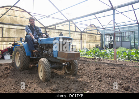 Bio-Landwirt Traktor Pflege Boden im Folientunnel Stockfoto