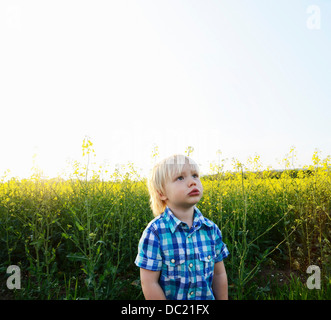 Junge im Feld stehen und nach oben schauen Stockfoto