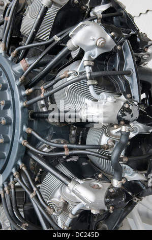 Pratt und Whitney R-1830 Twin Wasp Flugmotor. Eines der wichtigsten und zahlreichen amerikanischen Flugmotoren der Welt Wa Stockfoto