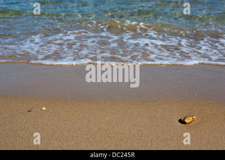 Shalllow Focus Bild der Kieselsteine am Strand Stockfoto