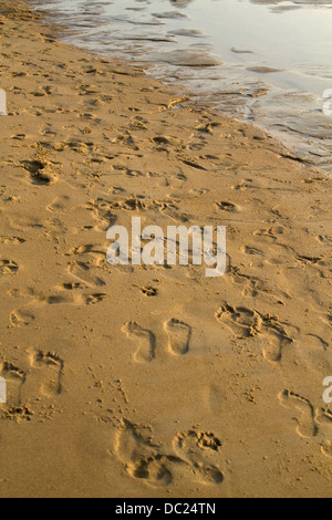 Fußabdrücke, Candolim Beach, North Goa, Indien Stockfoto