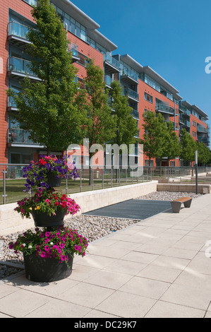 Moderne Apartments im Waterfront District, Ipswich, Suffolk, UK. Stockfoto
