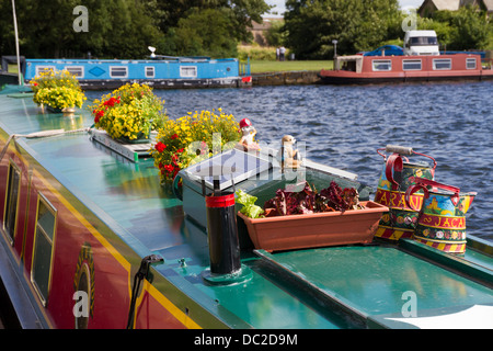 Blume auf dem Dach von einem schmalen Boot vertäut am Glasson Dock, Lancaster, Lancashire, England. Stockfoto