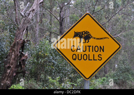 Verkehrszeichen in Quoll Lebensraum im nördlichen New South Wales, Australien Stockfoto